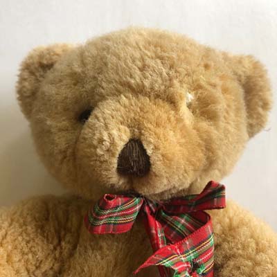 How to Replace a Teddy Bear's Eye »
